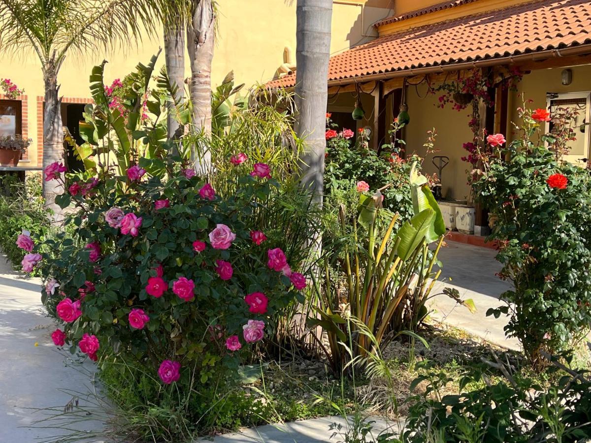Oasi Le Fontanelle Villa Cerignola Exterior photo